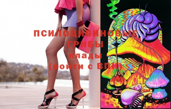 кокаин Богданович