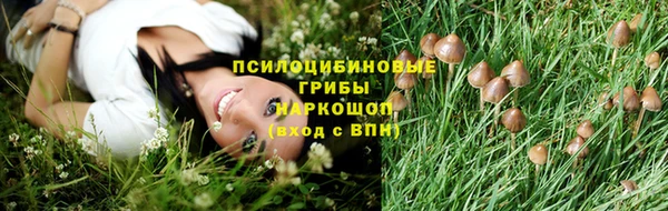 кокаин Богданович